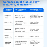 PEMF Therapy Mat 200×60cm — Magnetic Frequency Healing for Full-Body Wellness