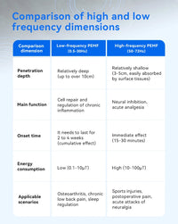 PEMF Therapy Mat 200×60cm — Magnetic Frequency Healing for Full-Body Wellness