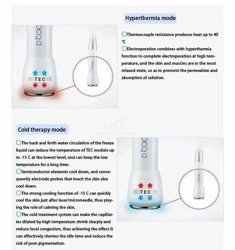 New Cool and Hot Skin Rejuvenation D-Cool Cryo Facial Cooling Massager D-cool Electroporation ION Facial Care Beauty Equipment